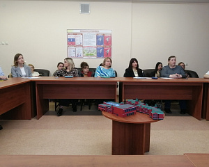 Семинар «Сетевое взаимодействие служб сопровождения» в г.о. Бронницы